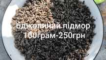 Бджолиний підмор, гомогенат,прополіс