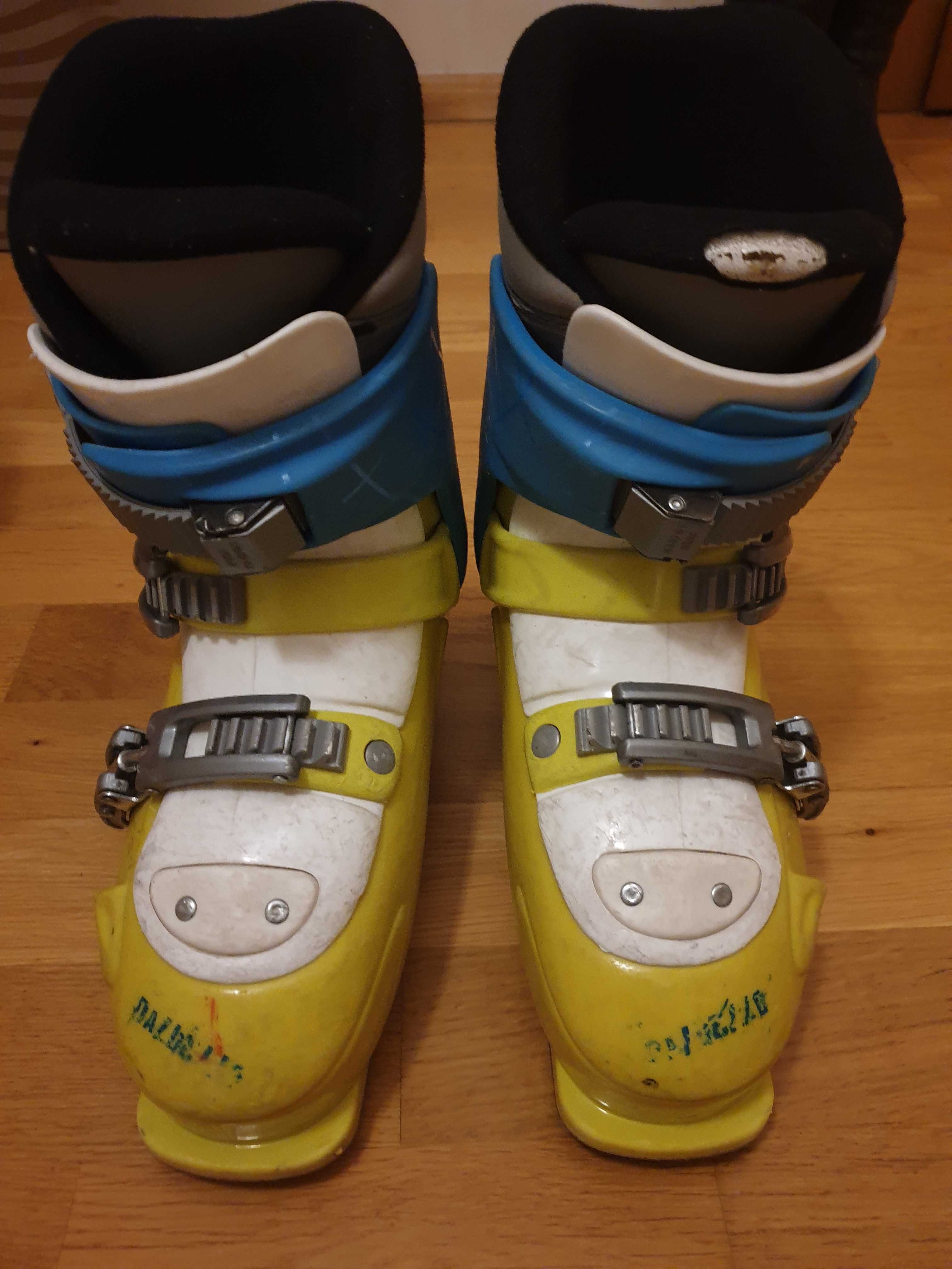 Buty narciarskie Dalbello wkładka  24,5 cm, dla dziecka