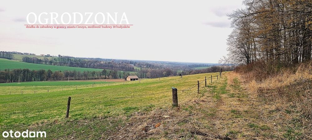 Działka w granicach miasta Cieszyn