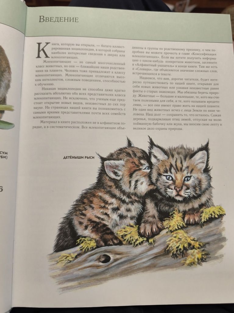 Животные Полная Энциклопедия Юлия Школьник 2002г