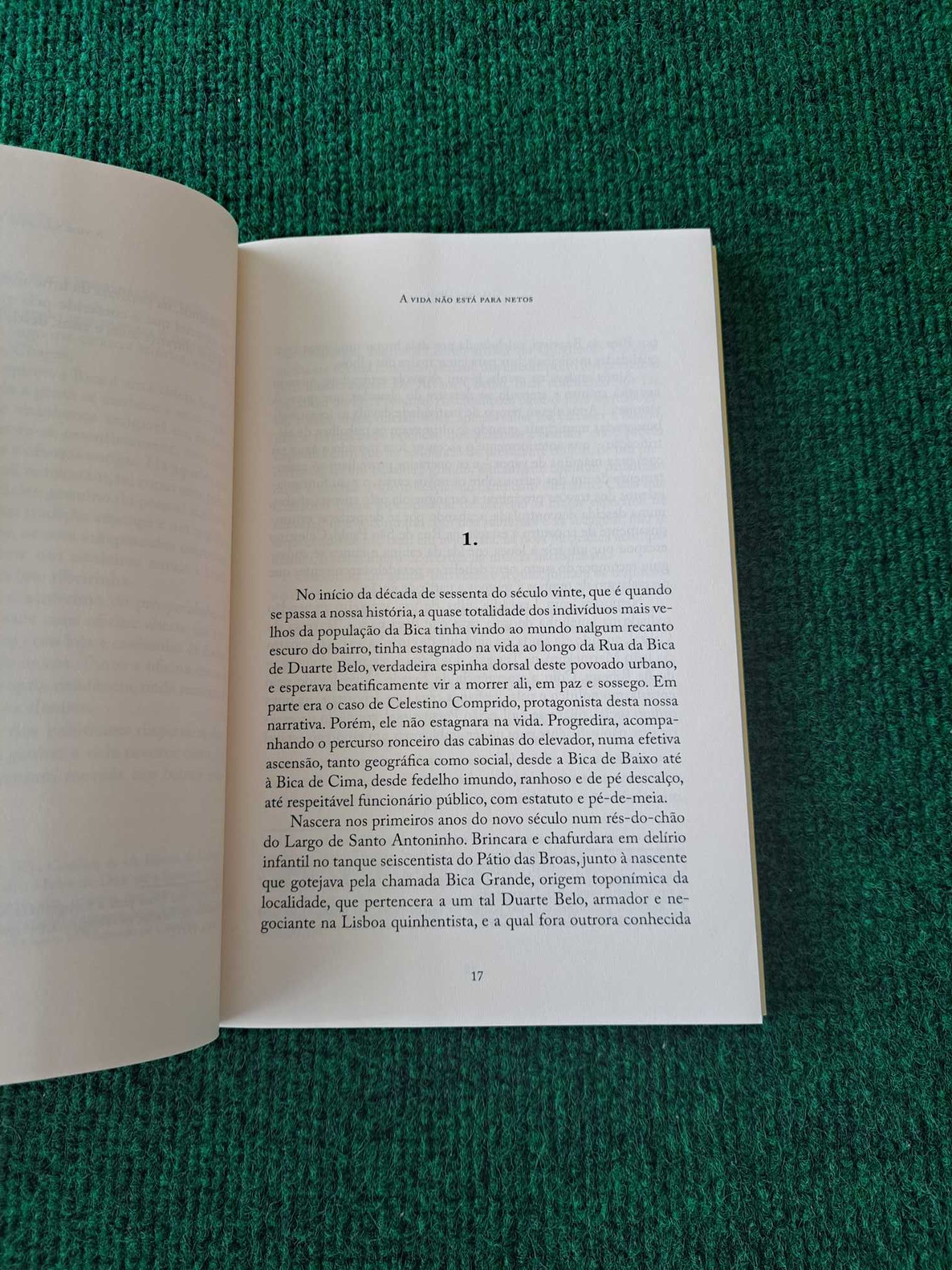 A vida não está para netos - Orlando Dinis
