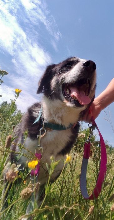 Proszę daj mi szansę i zabierz mnie do domu ...