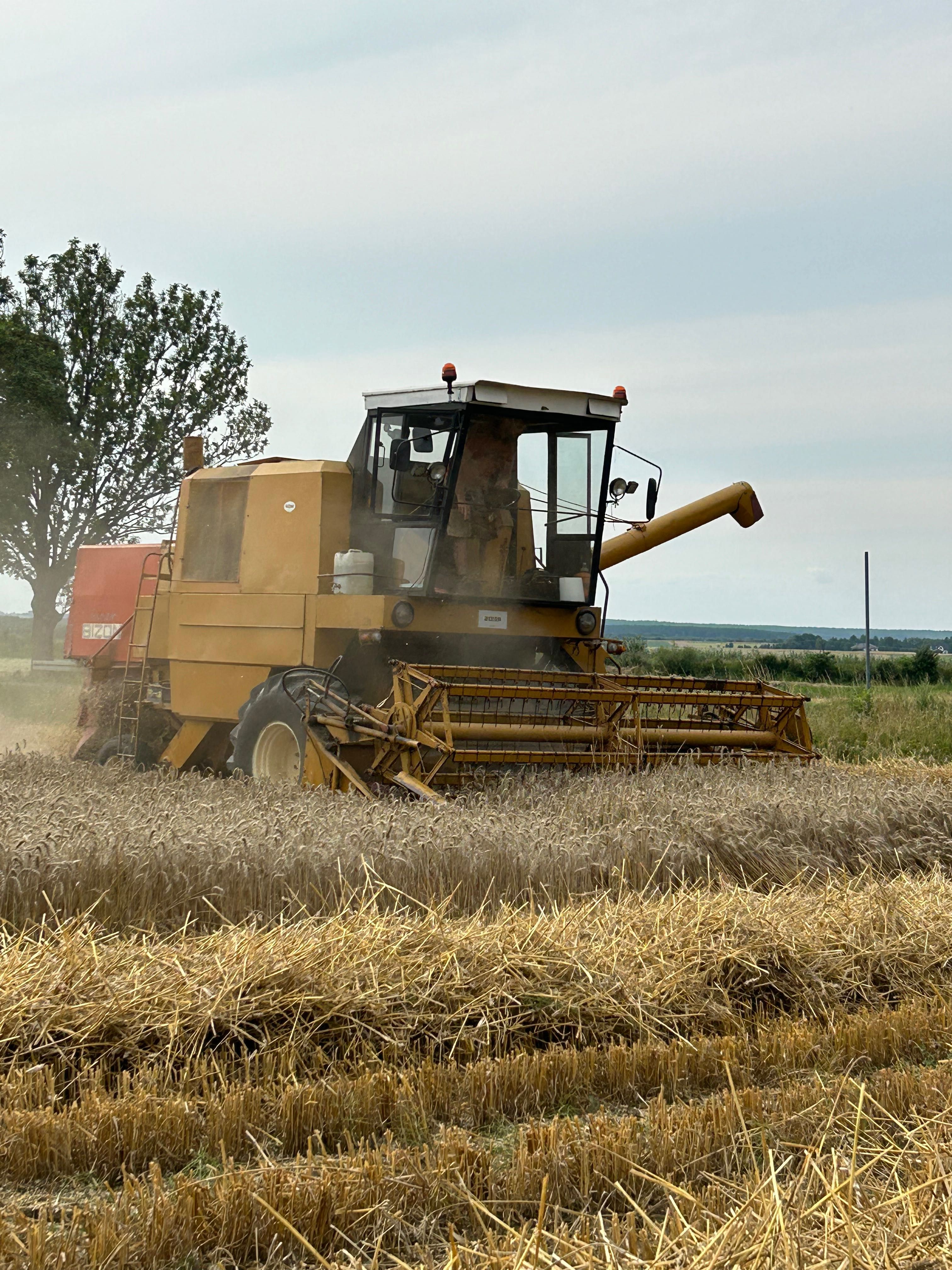 Sprzedam Bizon Z056