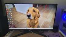Monitor Asus gamer 4k 28 pulgadas