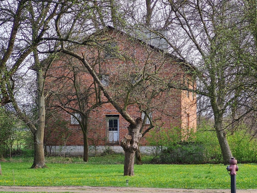 Dom na sprzedaż w Czarnej