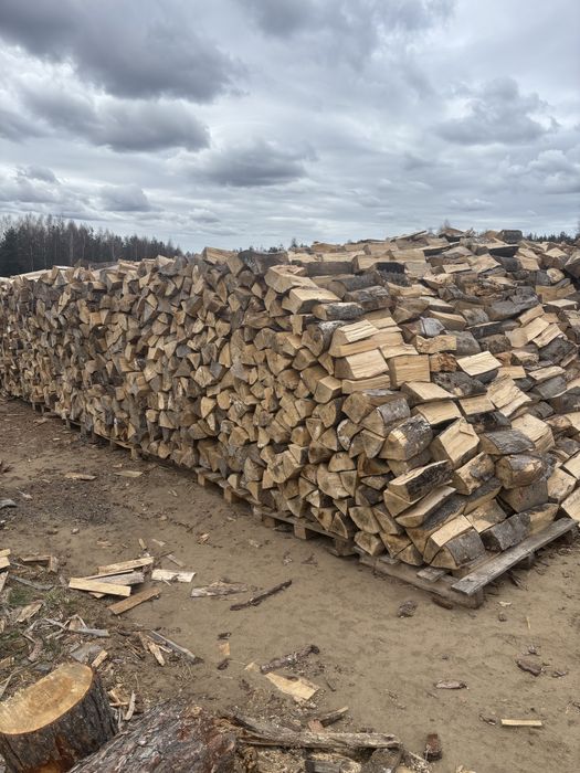 Drewno Kominkowe Buk