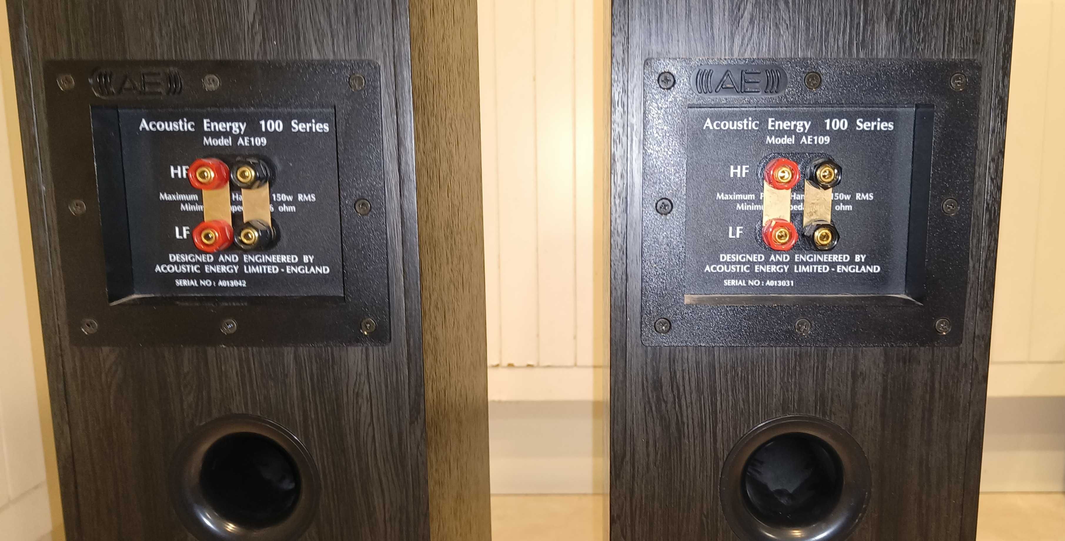 Kolumny Acoustic Energy AE 109 Limited