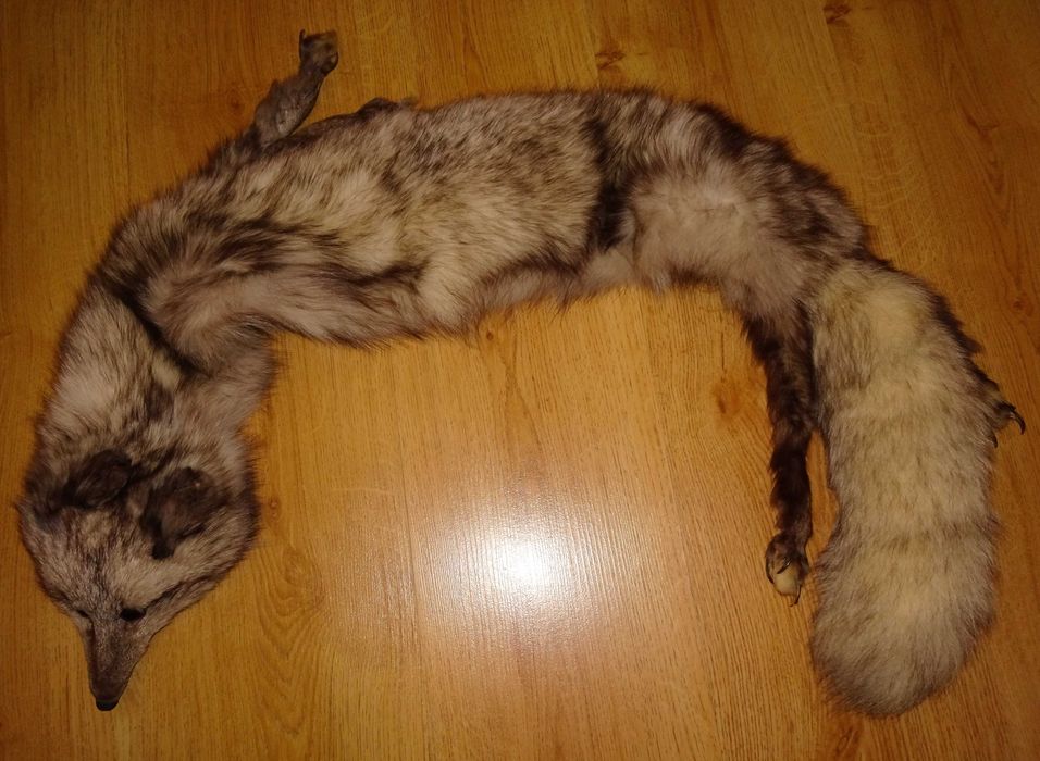 Szal z lisa Prl, kołnierz z lisa, lis srebrzysty Prl, vintage