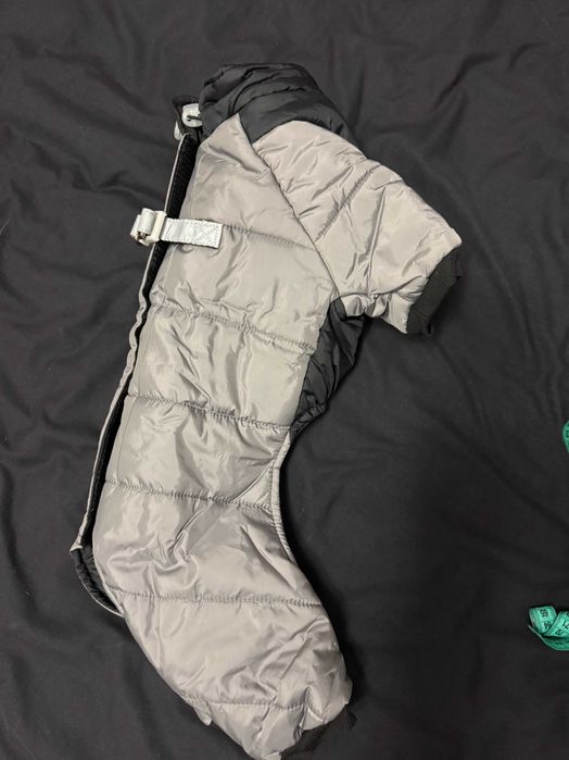 одяг для собачки