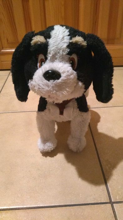 Szczekający piesek Bobby