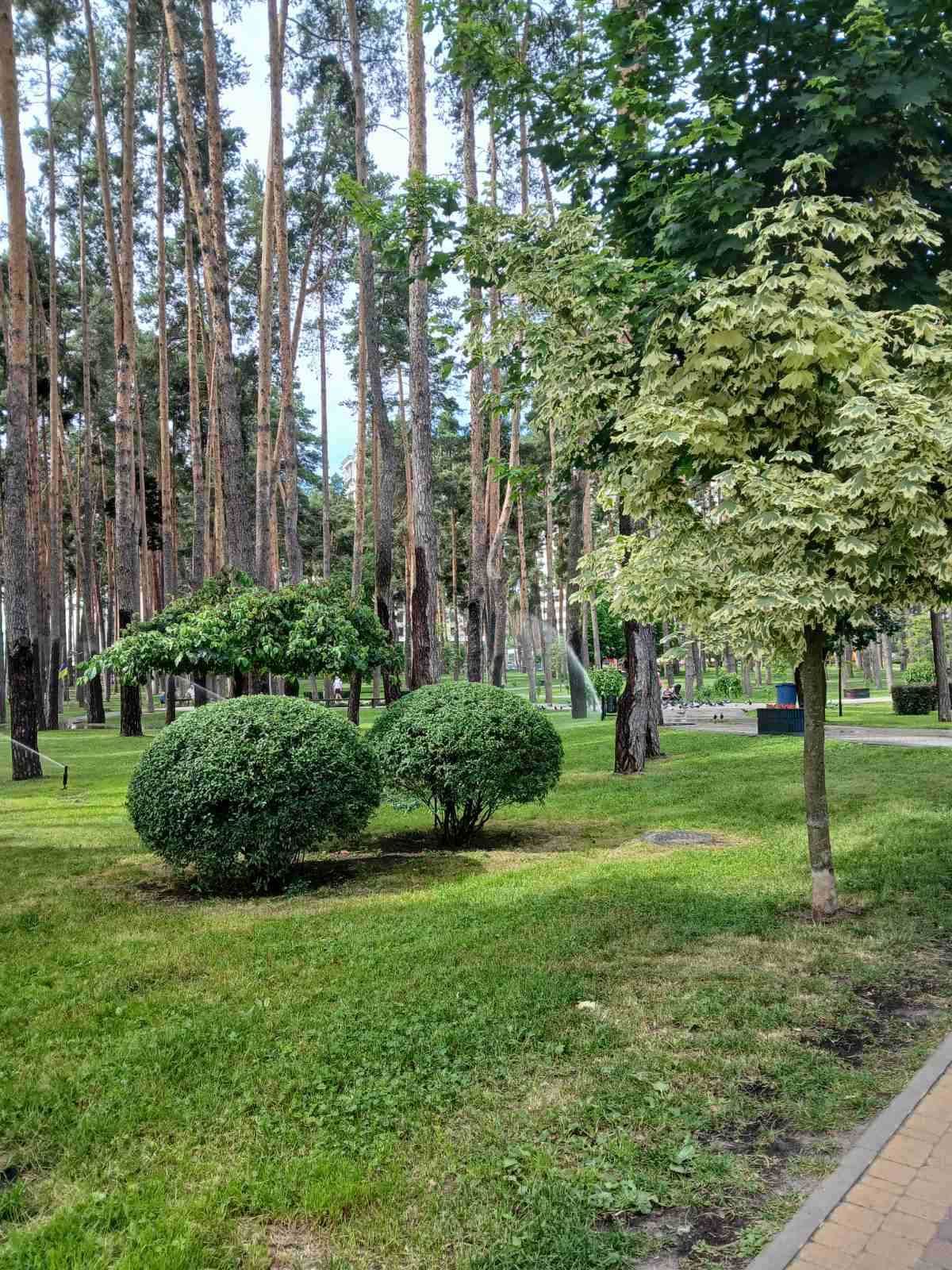 Дворівнева видова євро 3к квартира 117м2. Центральний парк!