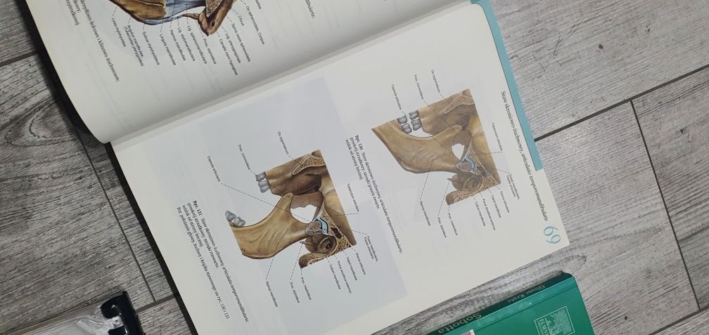 Atlas anatomiczny  Sobotta + podręcznik + ćwiczenia kolorowanka