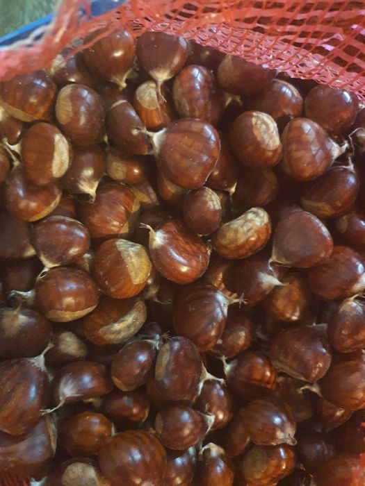 Castanhas de ótima qualidade