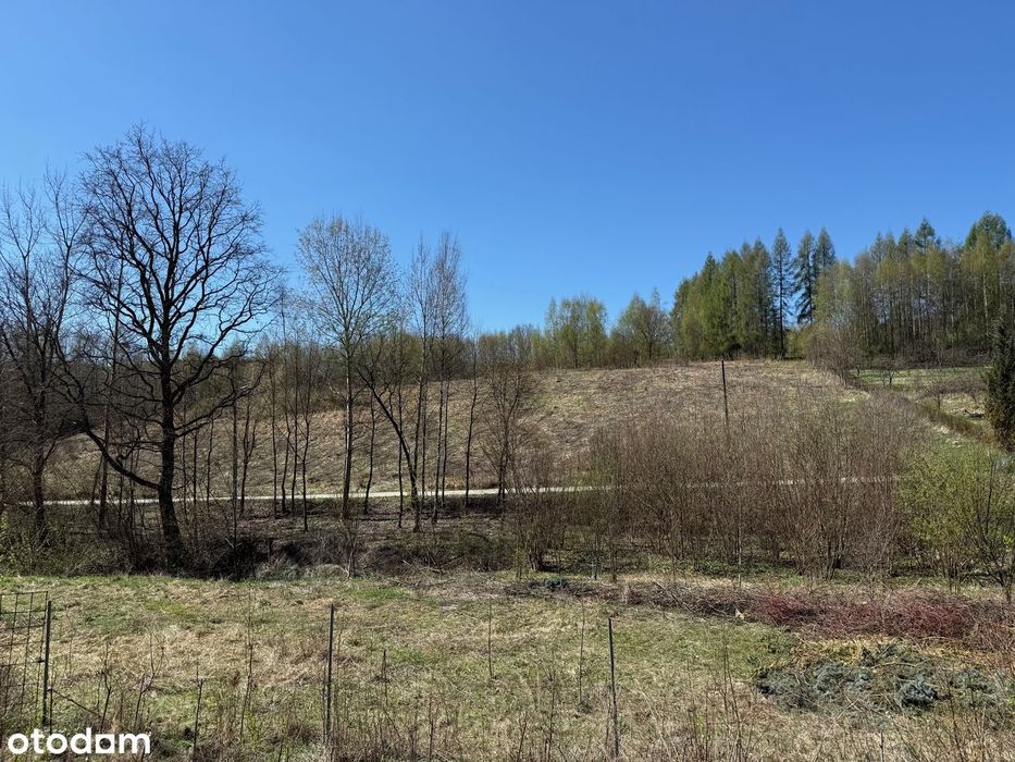 Jerzmanowice,działki budowlano-rolne 4237m2, ok.Jaskini Nietoperzowej