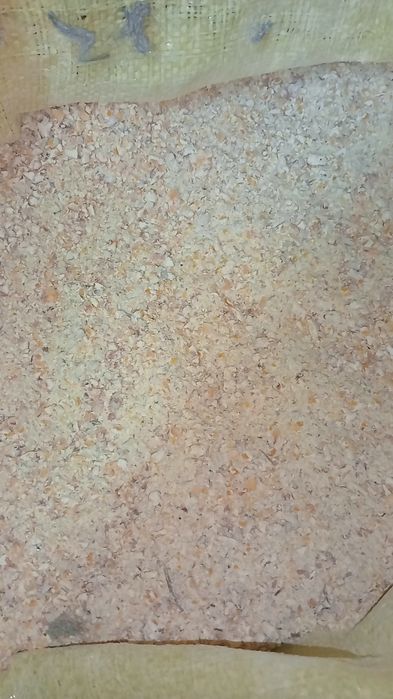 Kukurydza gruba śrutowana - worek 20kg