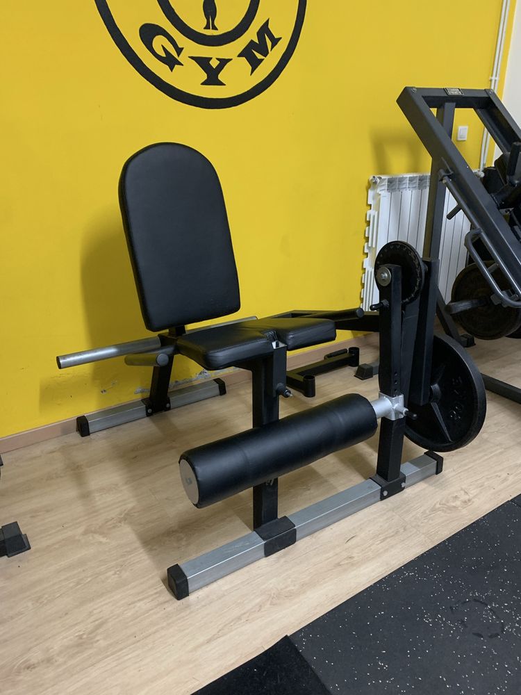 Leg Curl/Extension