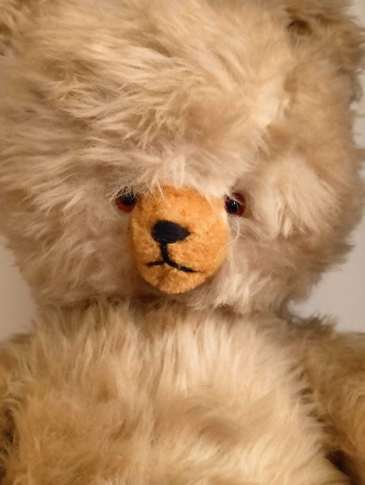 Miś, maskotka, trociniak, stary