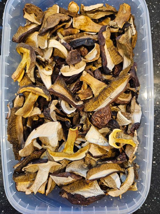 Suszone podgrzybki 100g