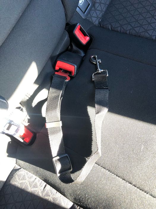 Cinto Segurança Trela para Cães - 100% Compatível - Novo