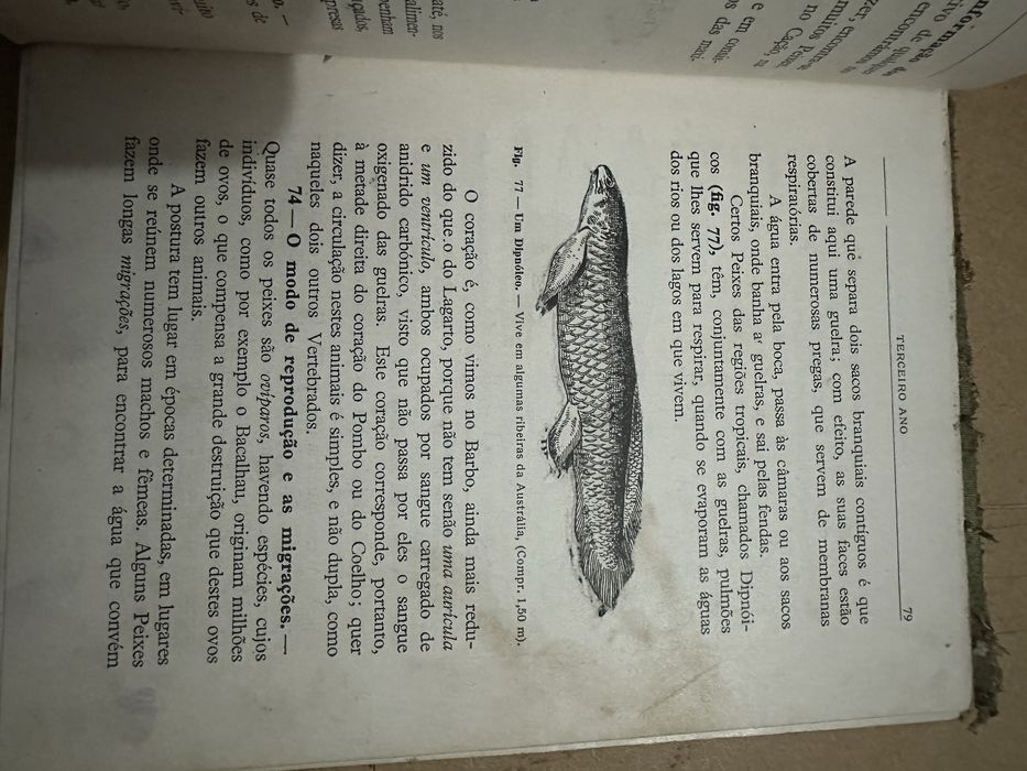Livro antigo compêndio de zoologia