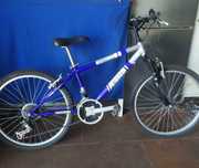 Bicicleta roda 24