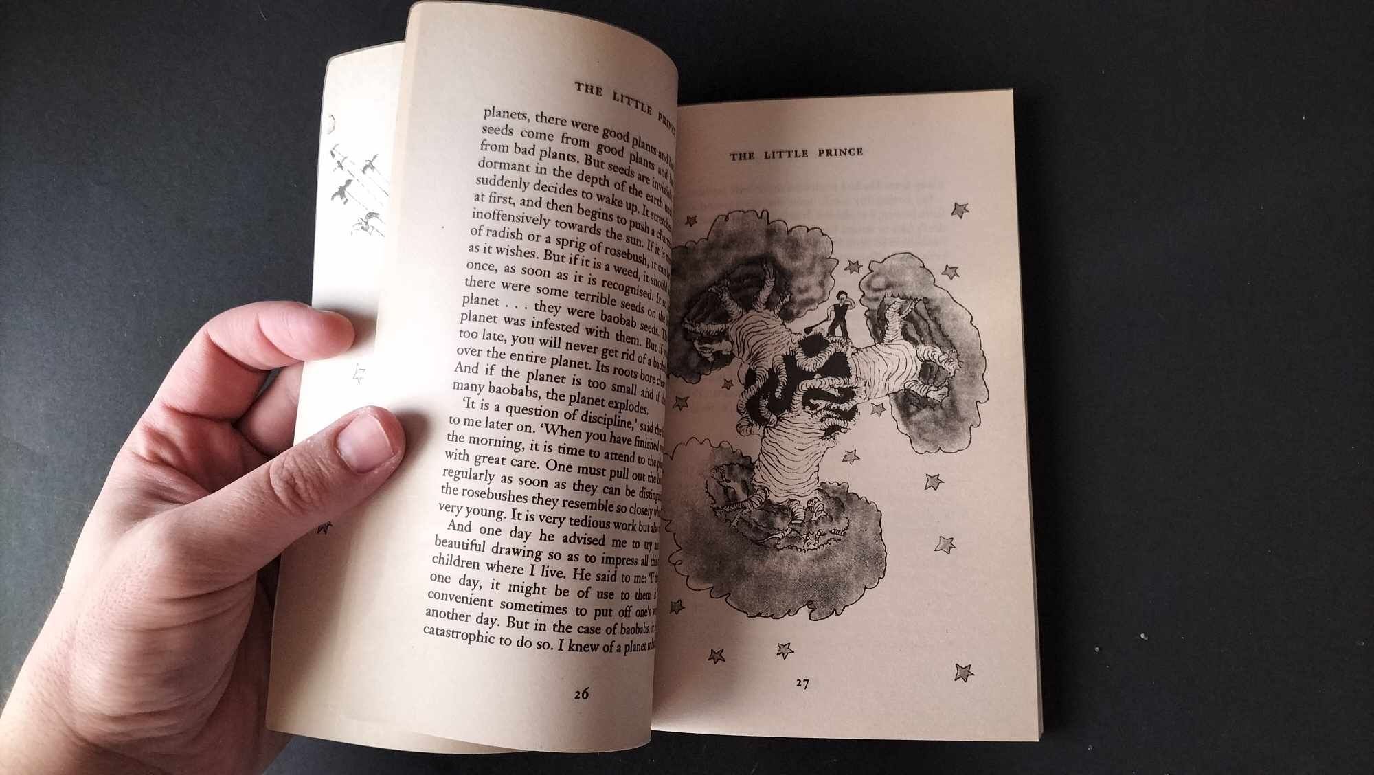 Livro O Pequeno Príncipe em inglês