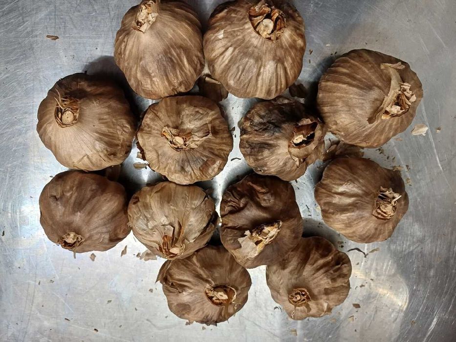Czosnek czarny, własna fermentacja 1 kg.