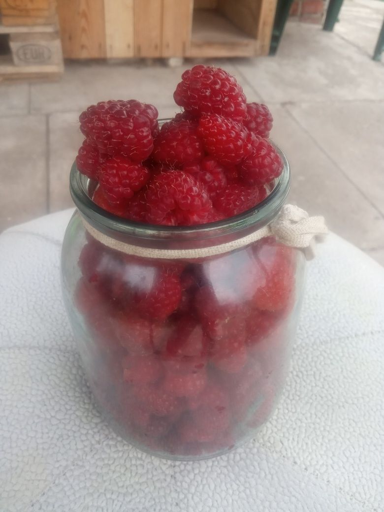 Продам малину зі своєї ділянки