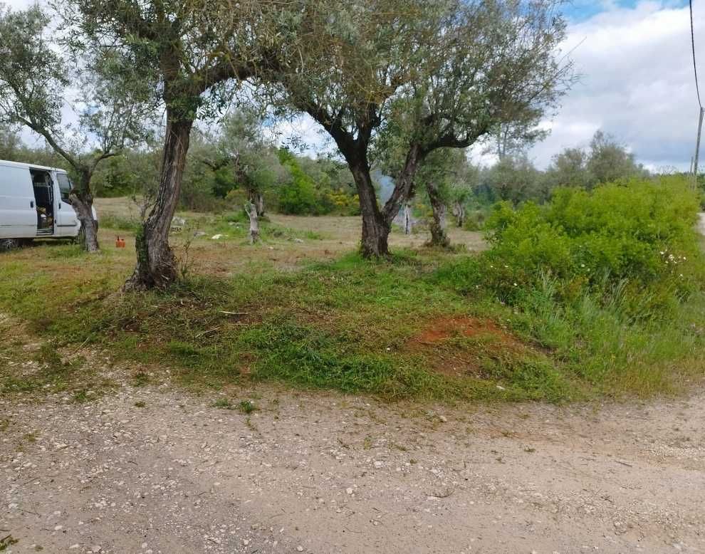 Venda Olivais Barro Branco/ Borba. Rústico. Alentejo [Évora]