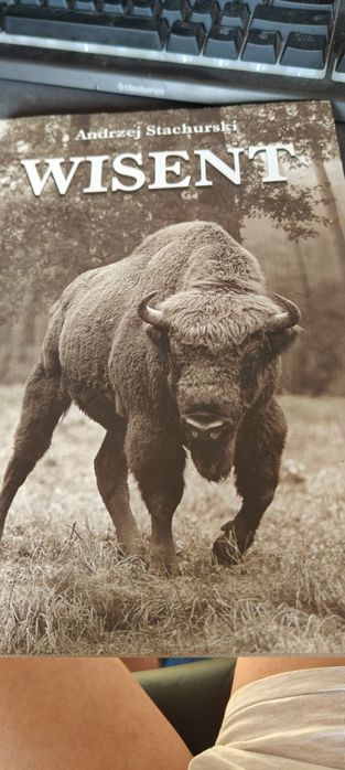 Wisent Andrzej Stachurski po niemiecku
