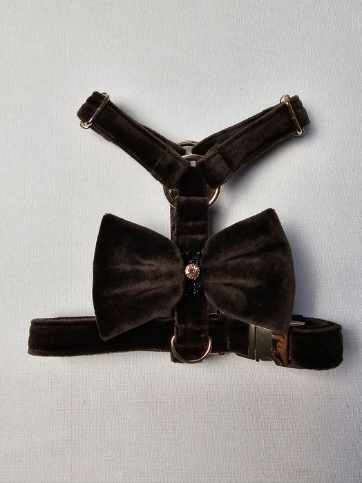 Zestaw czarny z smycz plus szelki fit