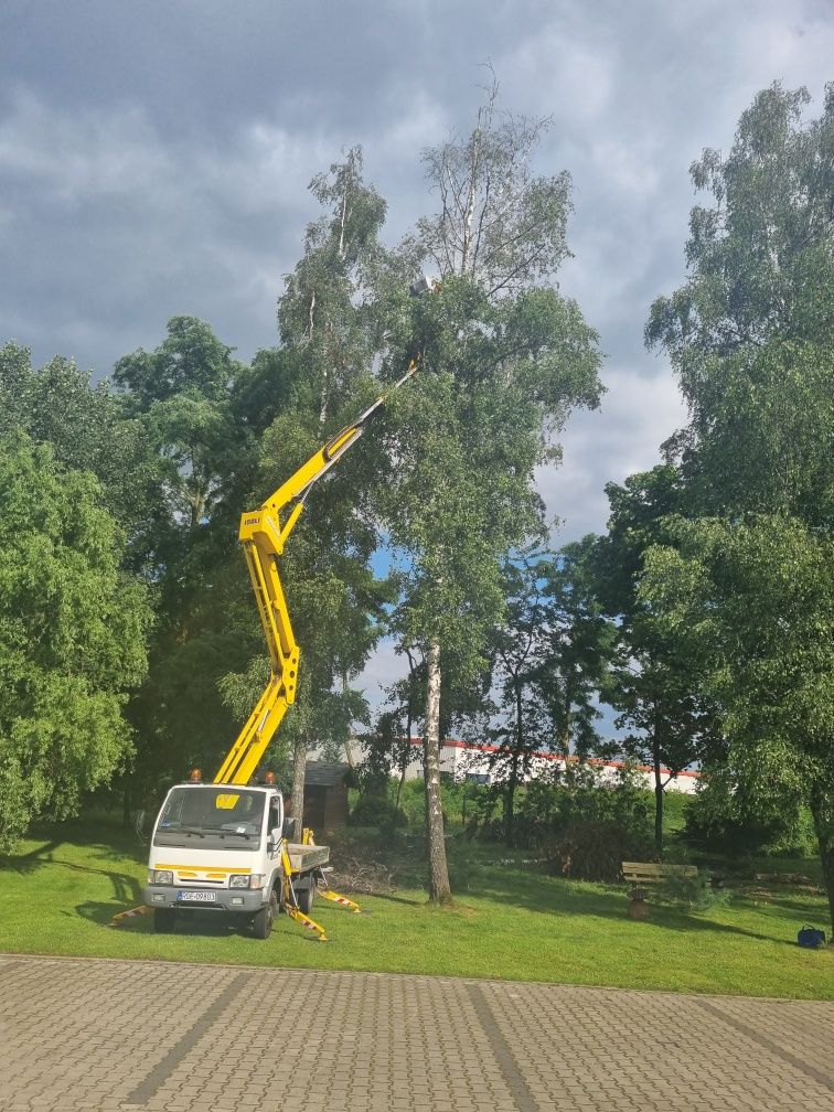 Usługi podnośnikiem koszowym 20 m , możliwość  pracy na hali