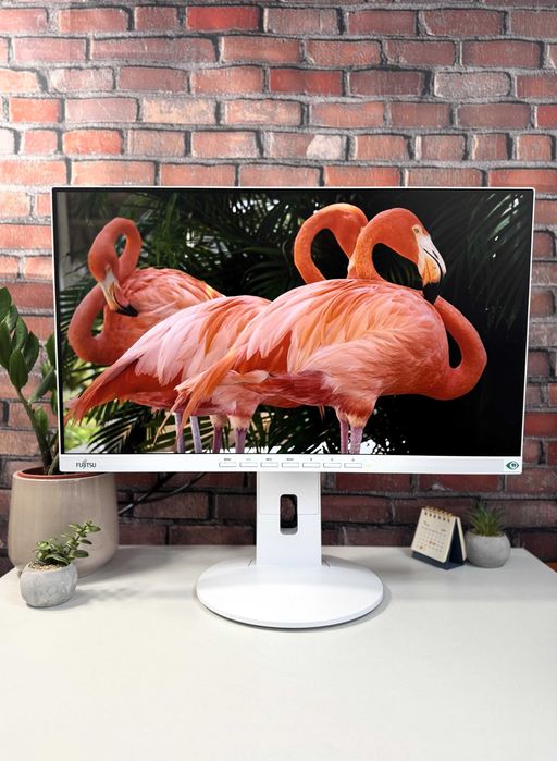 Монітор Fujitsu B24-9T·FHD·LED·IPS·Тонкі рамки·24"·з ПДВ та без·35 ШТ
