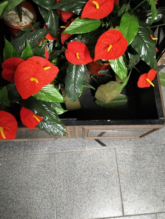 Floreira em madeira com espelhos