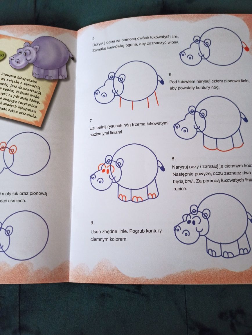 Książka Szkoła rysowania Zwierzęta