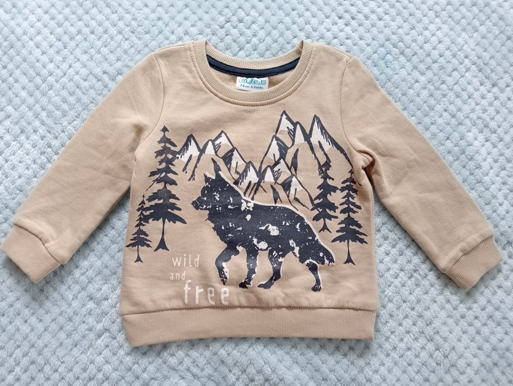 Bluza, bluzka chłopięca, beżowa, motyw wilka i gór, Pepco, rozmiar 74