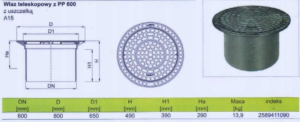 Właz do studni, studzienk