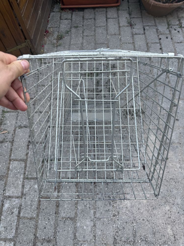 Armadilha para gatos
