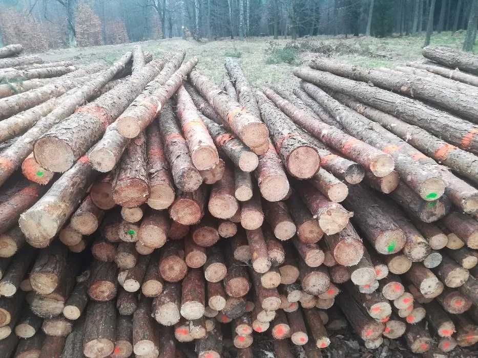 Stemple budowlane nowe 3mb stojaki podpory drewniane słupki solidne
