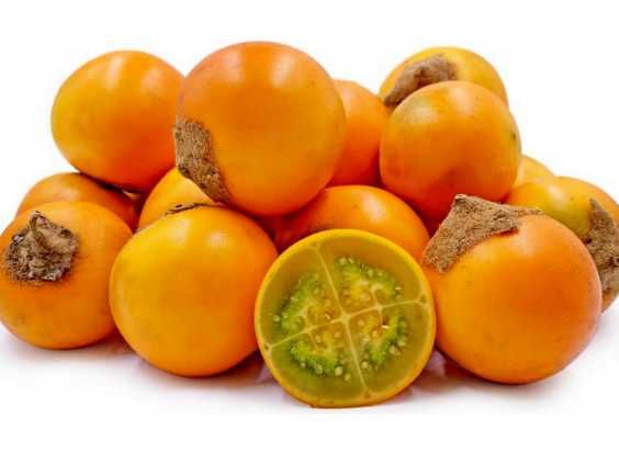 Naranjilla (lulo) Solanum quitoense - Sementes