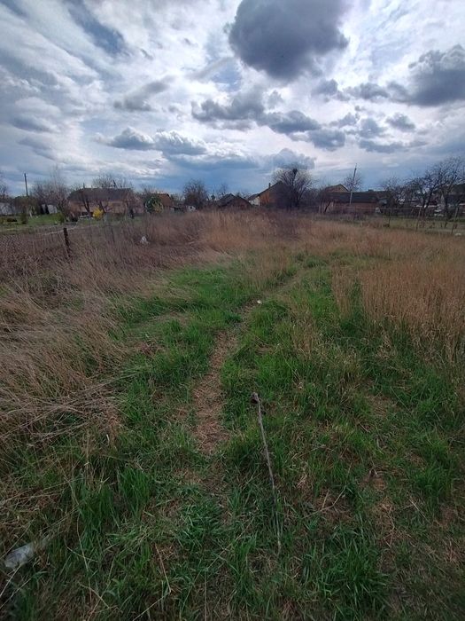 Продаж земельної ділянки с. Діброва Васильківський р-н