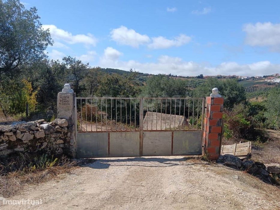 Terreno com casa de madeira em Evora de Alcobaça