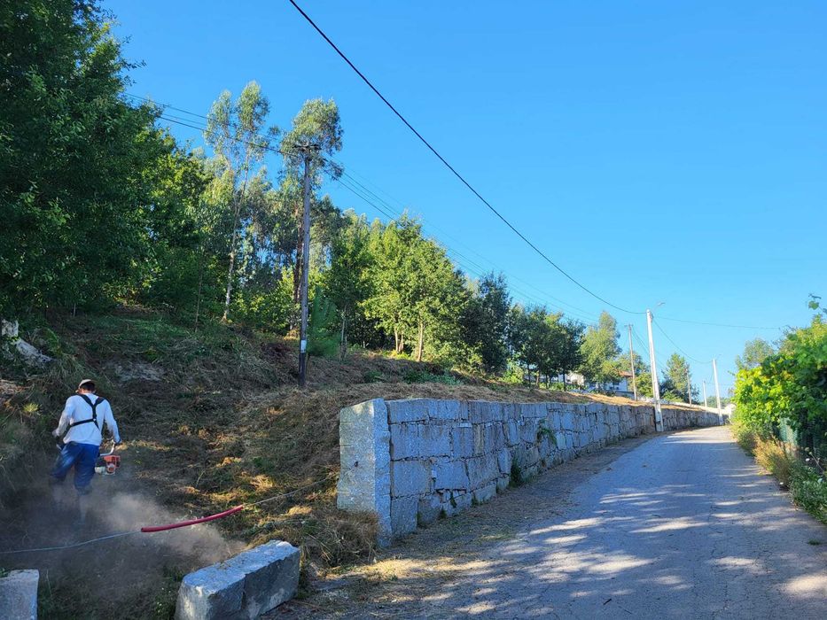 Terreno em Silvares com 3000 m^2