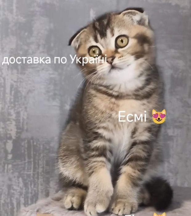 Висловуха дівчинка