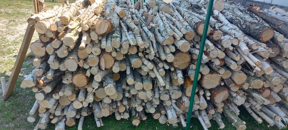 Sprzedam drewno surowe brzoza