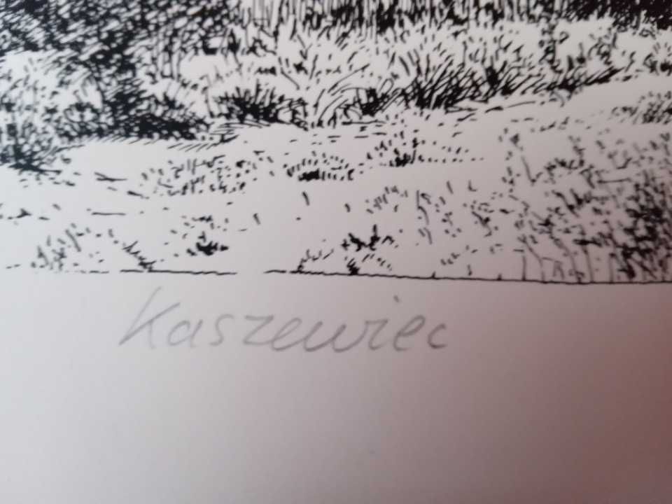 Obraz, serigrafia Iwo Zaniewski - Kaszewiec . Orginał z podpisem