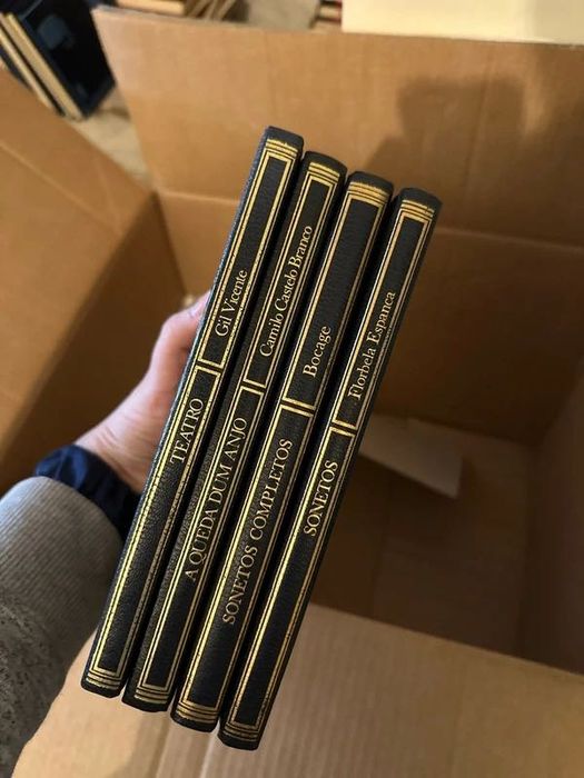 Clássicos da língua portuguesa 4 livros