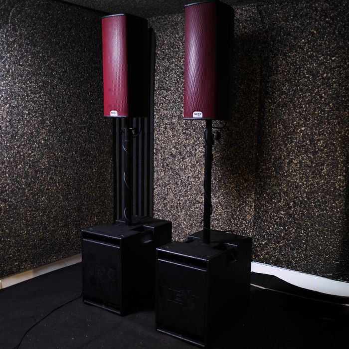Sistema NEXT ProAudio HFA26.12, impecável, pouco uso, com capas