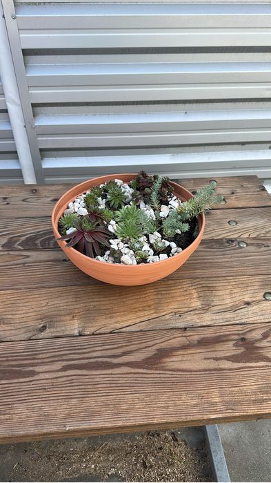 Pistolet do malowania lakierniczy DEVILBISS ADV-S500-16