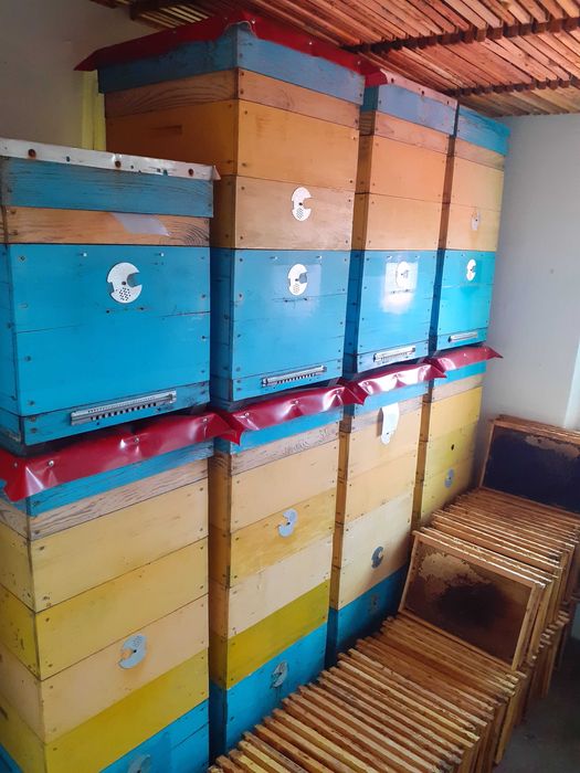 Вулики багатокорпусні 10ти рамкові